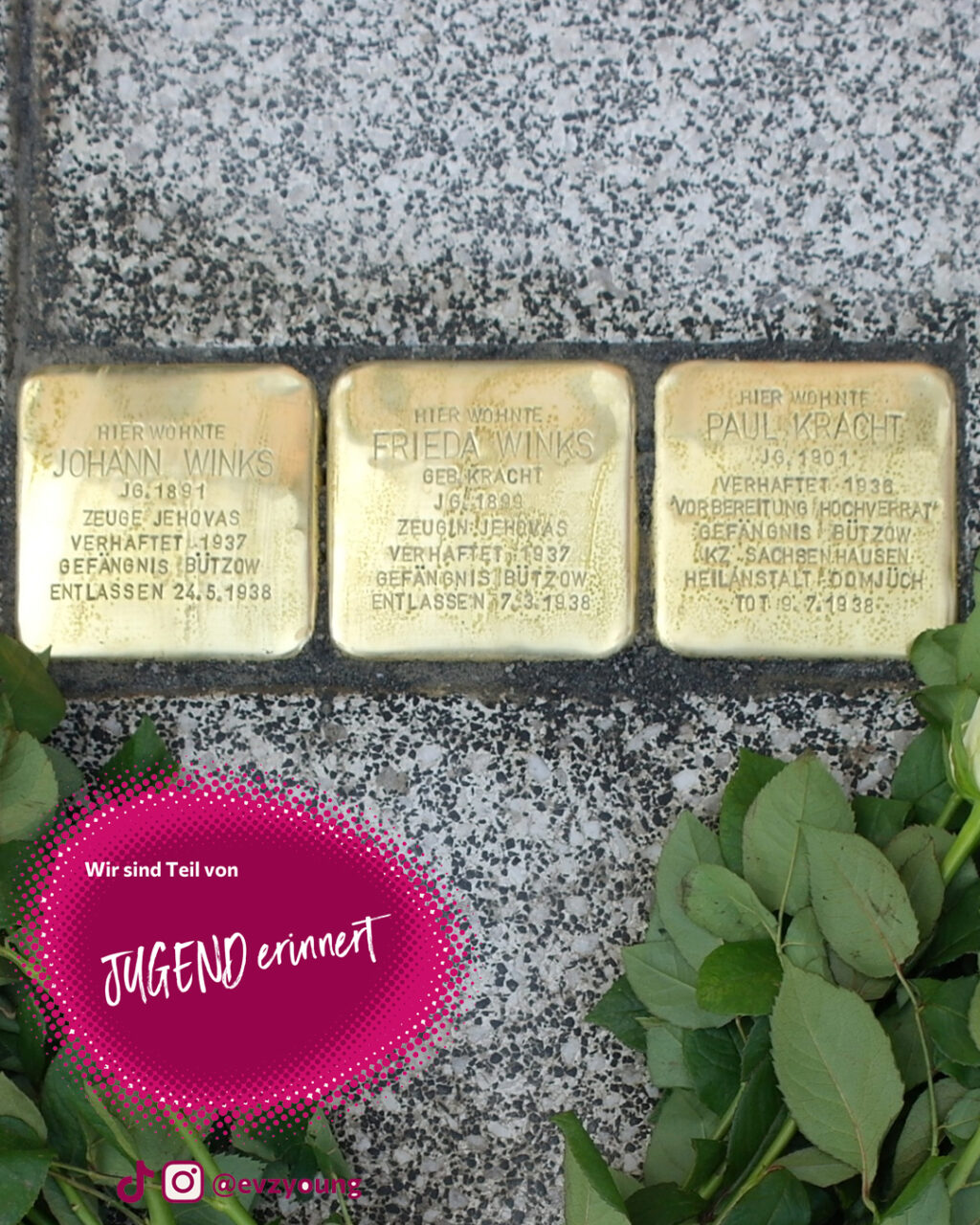 Die für Frieda und Johann Winks sowie Paul Kracht am 10. März 2026 verlegten Stolpersteine in Wesenberg. Foto: Falk Bersch