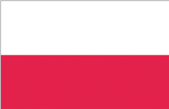 Flagge POL