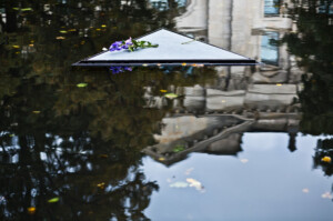 Sinti und Roma Denkmal, Blume, Foto: Marko Priske