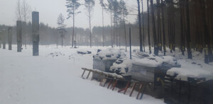 2018 03 01 002 Baustelle im Wald