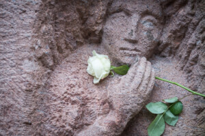 Rosenstraße_Fotos_Mike_Schmidt