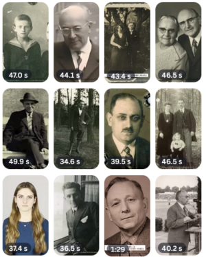 Videobeiträge Sammelbild